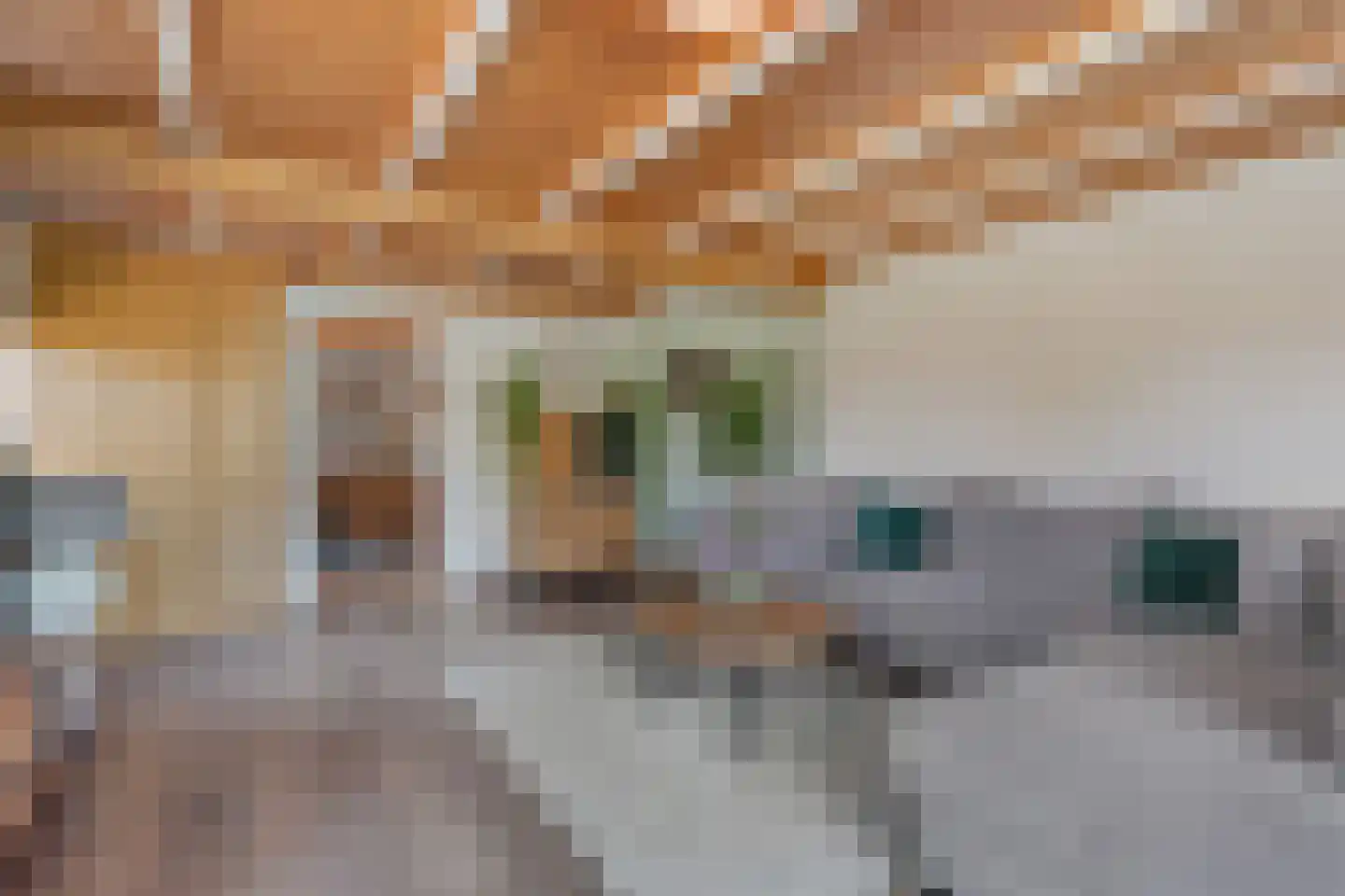 Molenstraat 24 a Angeren thumbnail 14