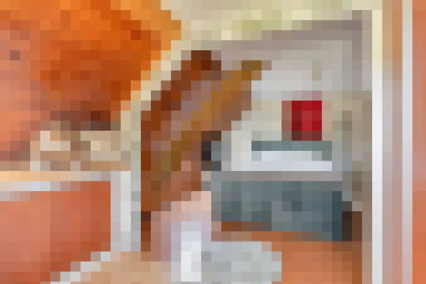 Molenstraat 24 a Angeren thumbnail 19
