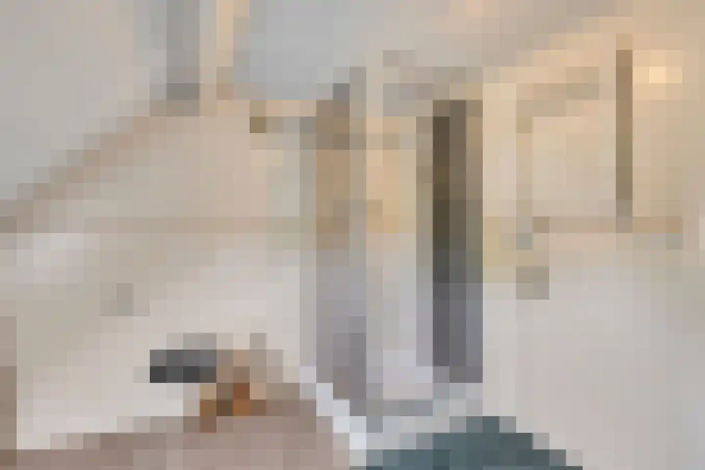 Molenstraat 24 a Angeren thumbnail 21