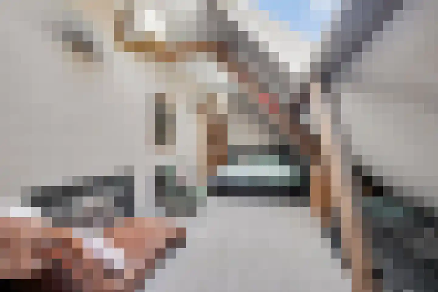 Molenstraat 24 a Angeren thumbnail 22