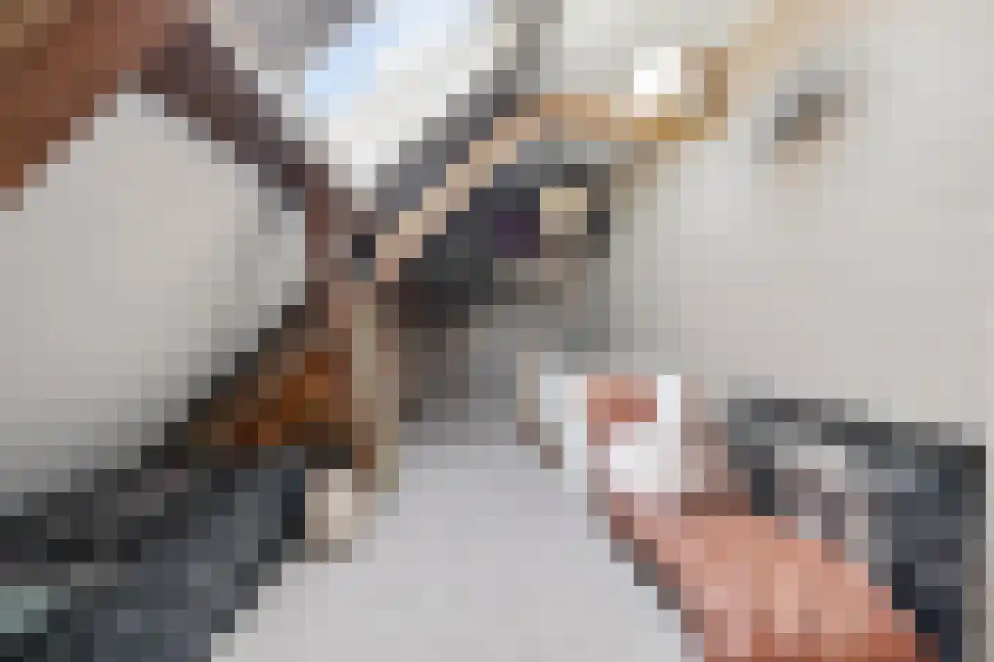 Molenstraat 24 a Angeren thumbnail 23