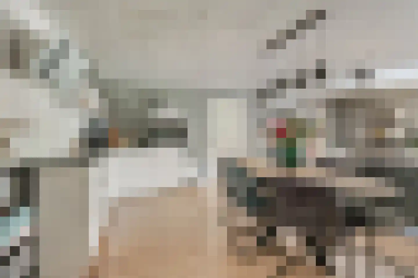 Molenstraat 24 a Angeren thumbnail 30