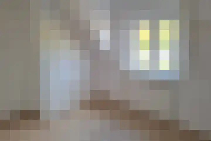 Molenstraat 24 Asten thumbnail 17