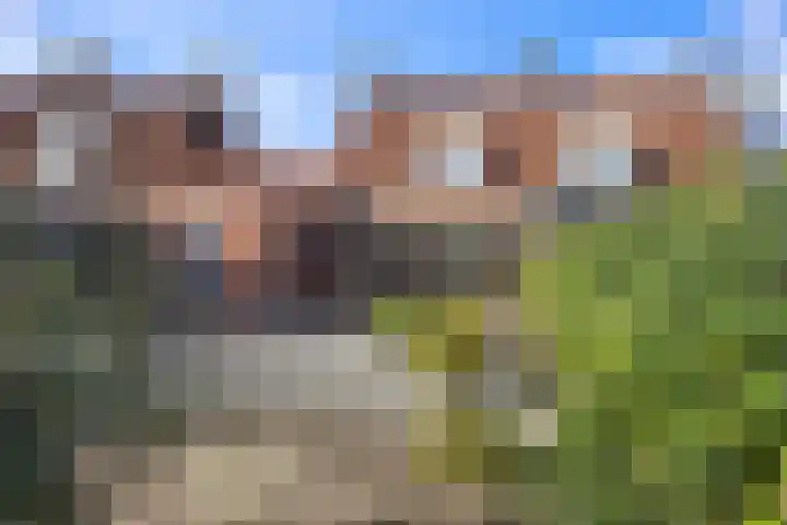 Molenstraat 24 Asten thumbnail 4