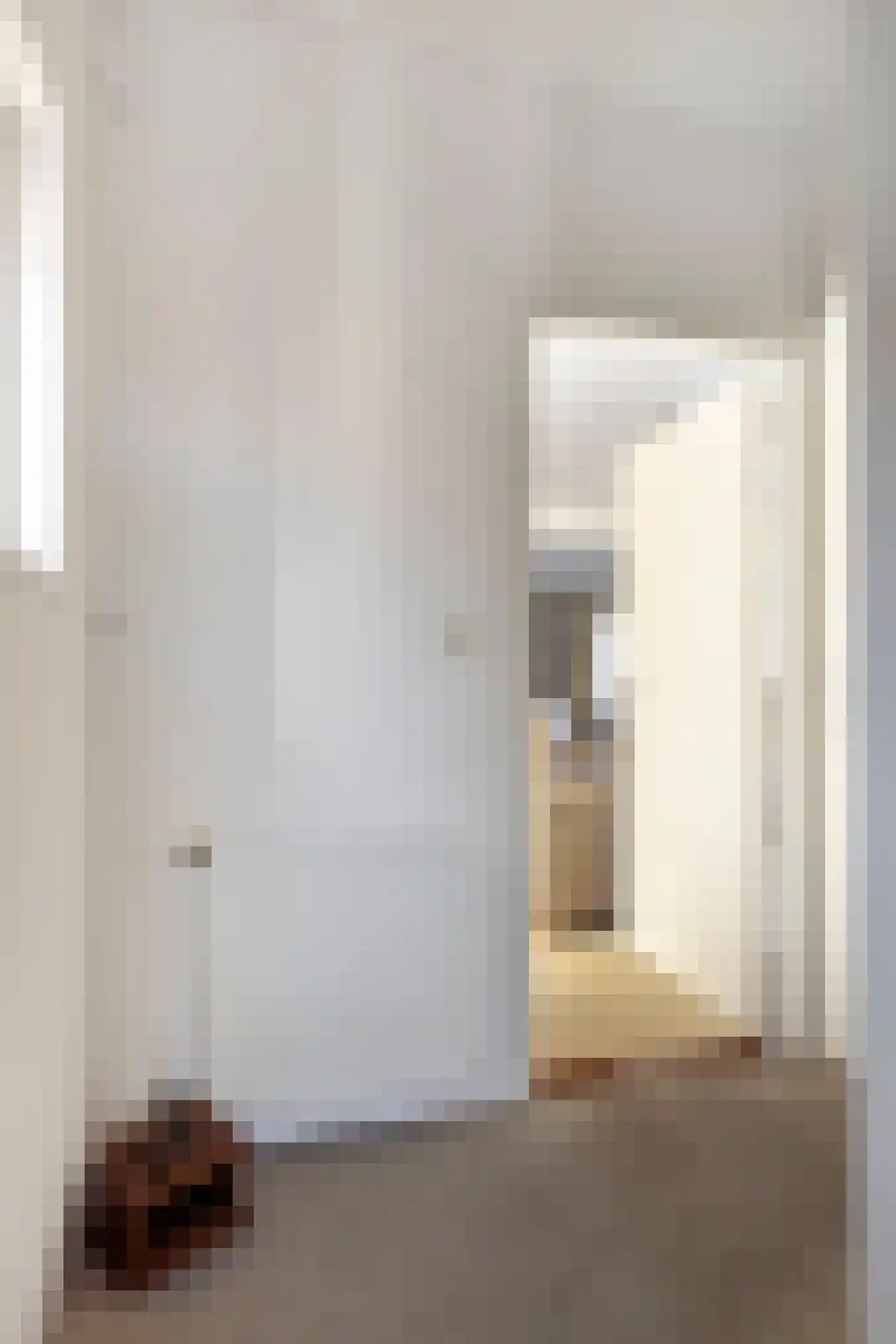 Molenstraat 24 Bruinisse thumbnail 13
