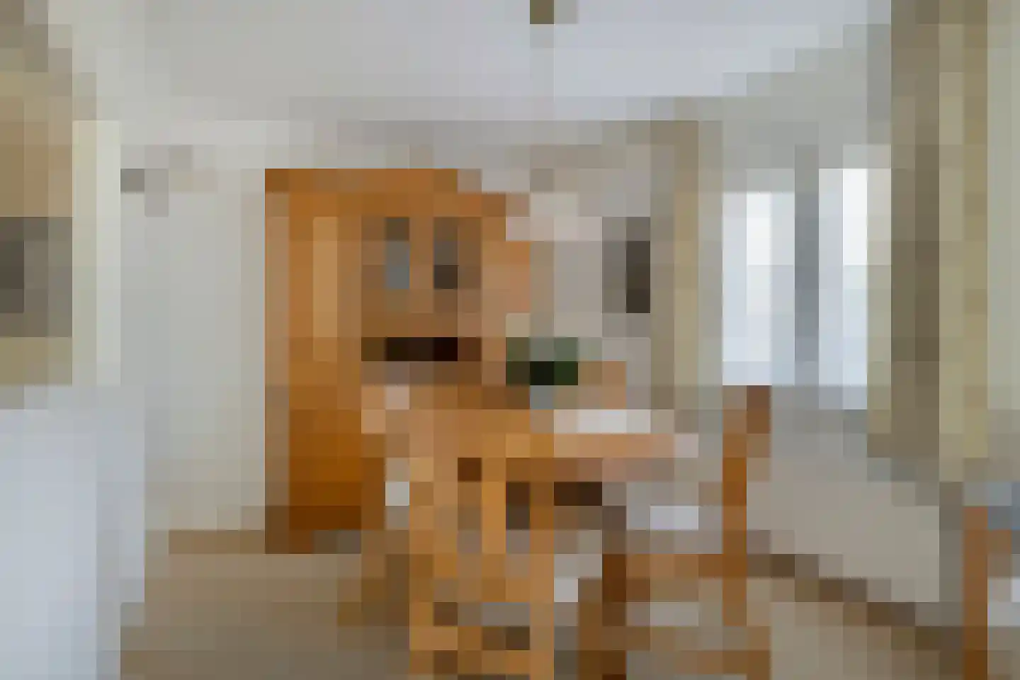 Molenstraat 24 Bruinisse thumbnail 17