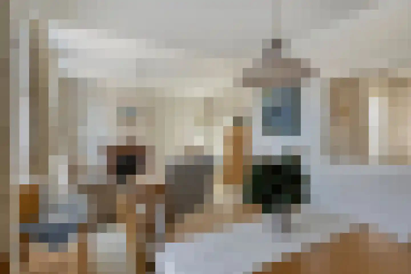 Molenstraat 24 Bruinisse thumbnail 18