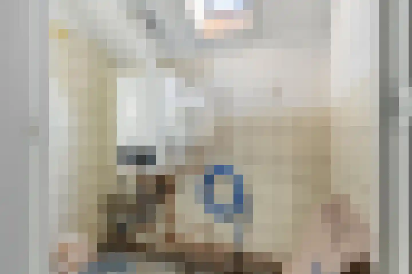 Molenstraat 24 Bruinisse thumbnail 25