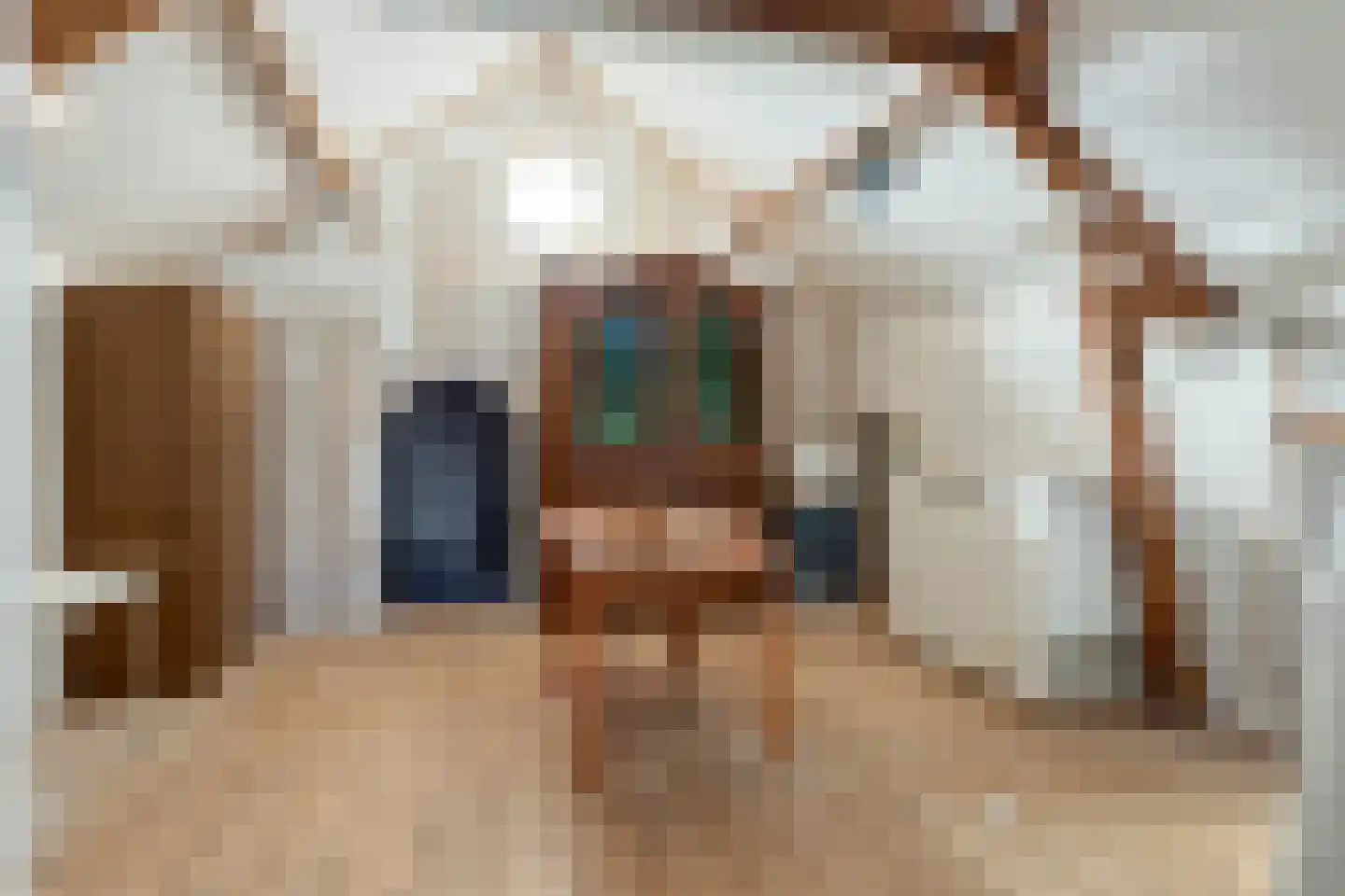 Molenstraat 24 Bruinisse thumbnail 28