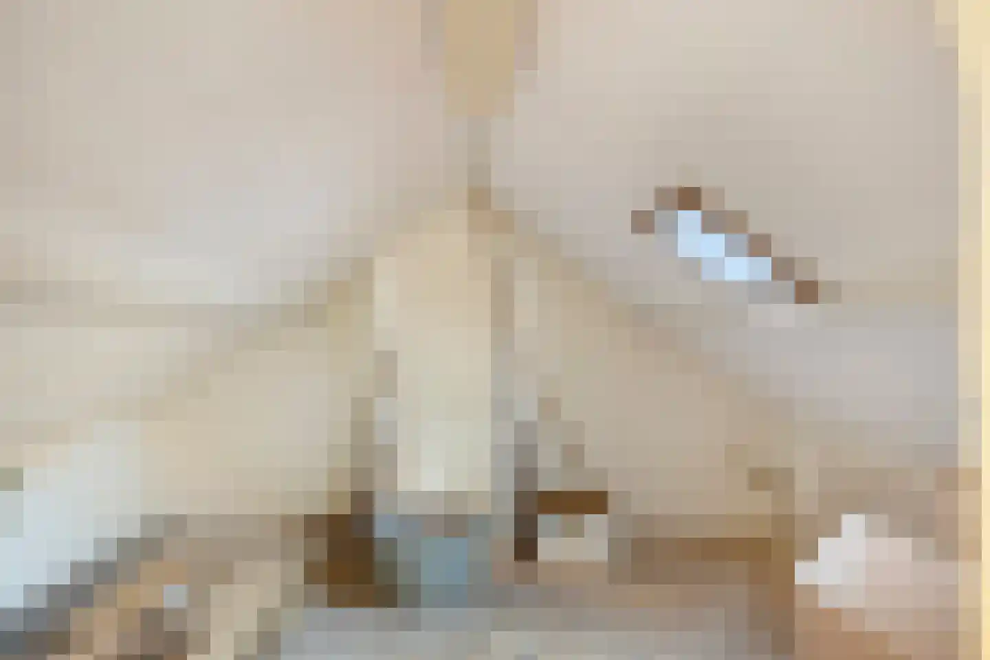 Molenstraat 24 Bruinisse thumbnail 29
