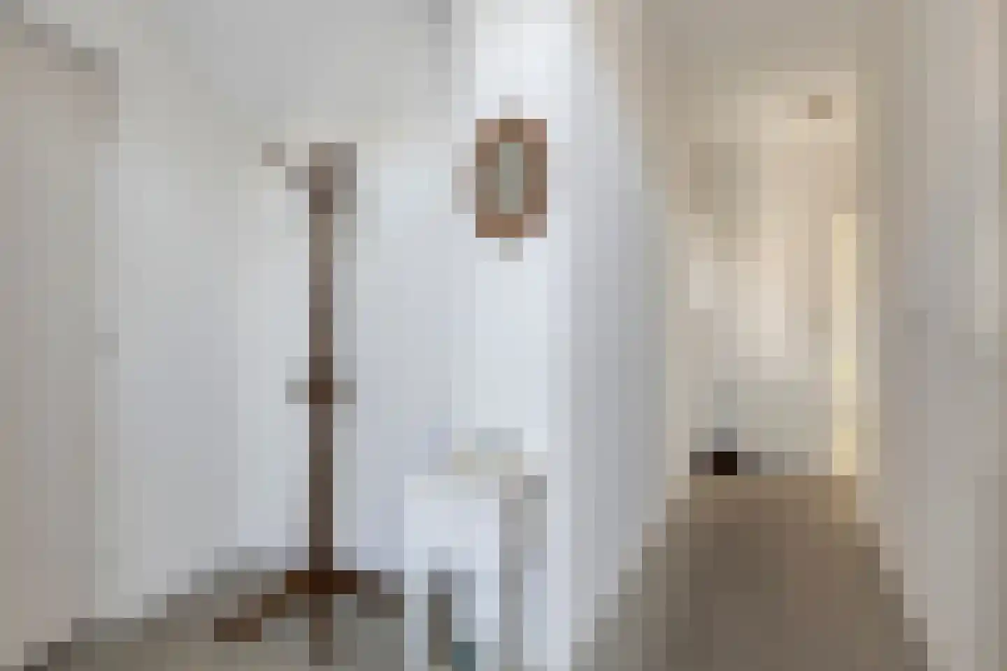 Molenstraat 24 Bruinisse thumbnail 9