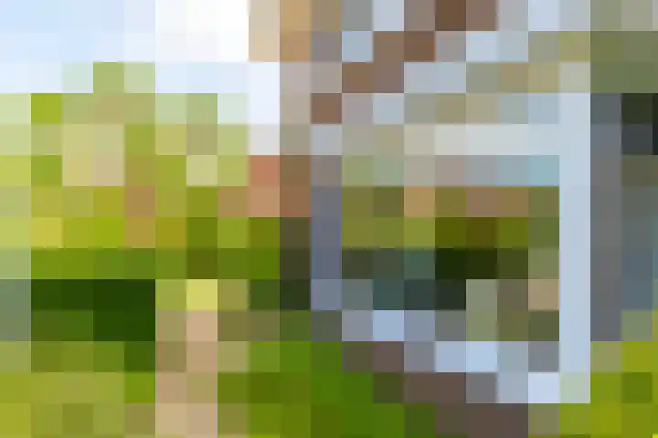 Molenstraat 24 Eerbeek thumbnail 10