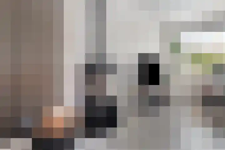 Molenstraat 24 Wijhe thumbnail 10