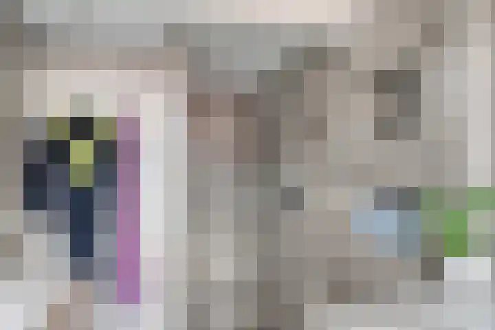 Molenstraat 24 Wijhe thumbnail 25