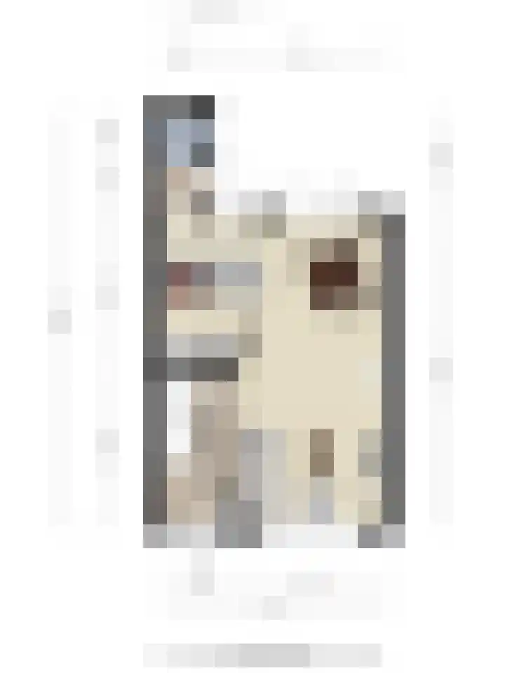 Molenstraat 24 Wijhe thumbnail 35
