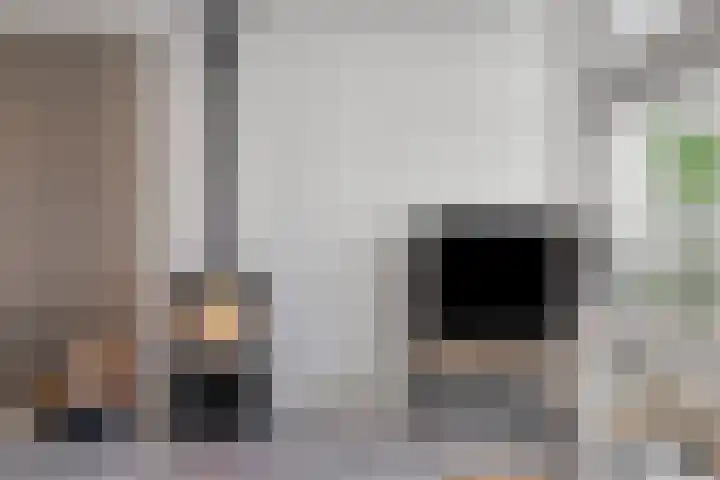 Molenstraat 24 Wijhe thumbnail 8