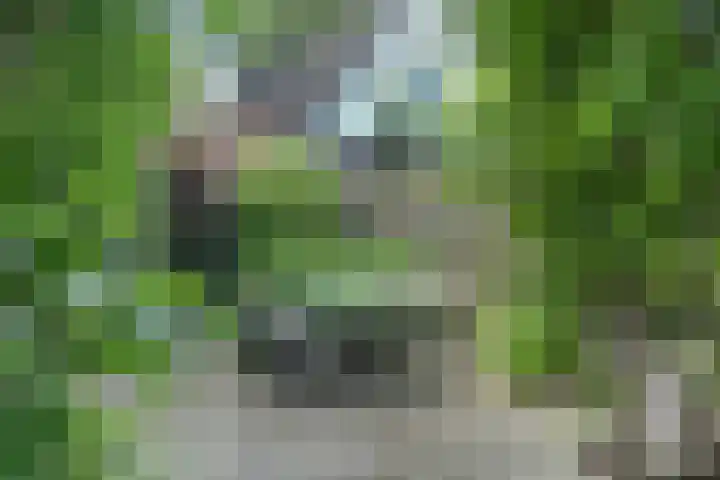 Molenstraat 24 Woudrichem thumbnail 35