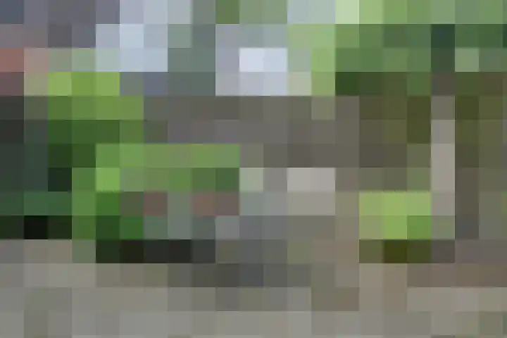 Molenstraat 24 Woudrichem thumbnail 36