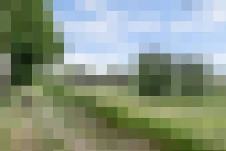 Molenstraat 24 Woudrichem thumbnail 4