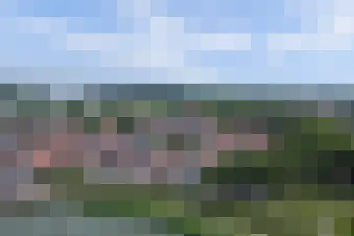 Molenstraat 24 Woudrichem thumbnail 47