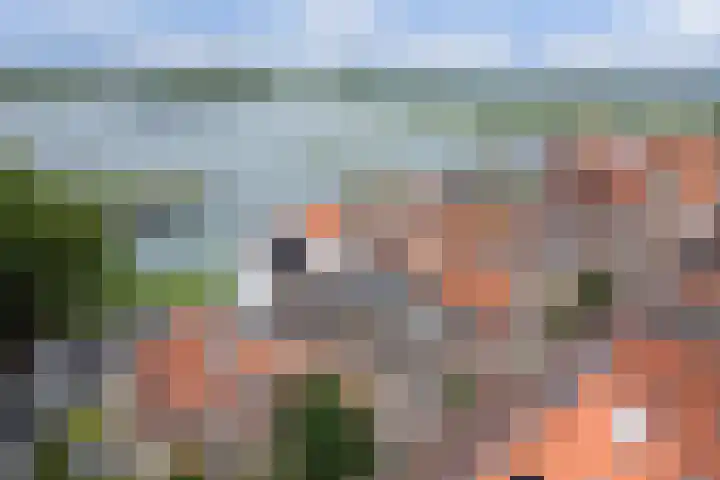 Molenstraat 24 Woudrichem thumbnail 5