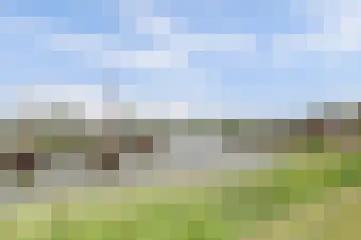 Molenstraat 24 Woudrichem thumbnail 6