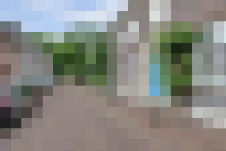 Molenstraat 24 Woudrichem thumbnail 7