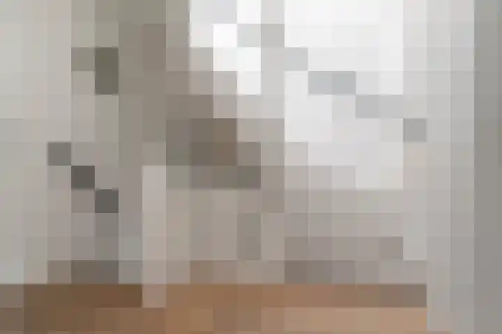 Molenstraat 24 Zevenaar thumbnail 36