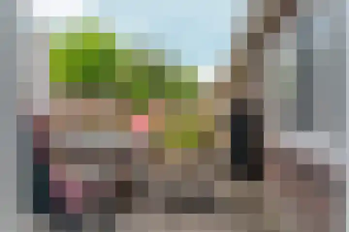 Molenstraat 24 Zevenaar thumbnail 39
