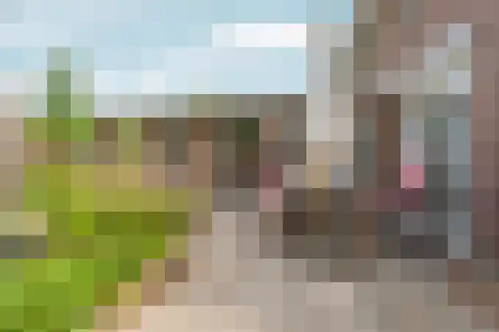 Molenstraat 24 Zevenaar thumbnail 40