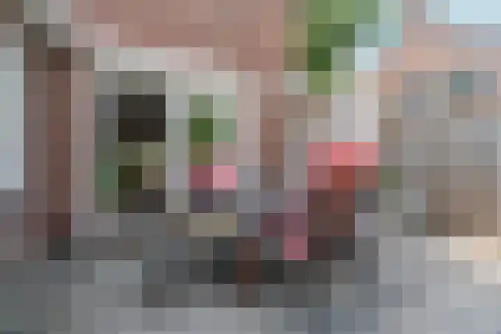 Molenstraat 24 Zevenaar thumbnail 41