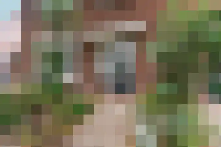Molenstraat 24 Zevenaar thumbnail 5