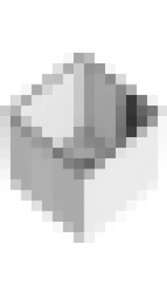 Molenstraat 241 Assen thumbnail 42