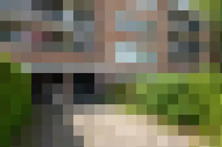 Molenstraat 249 Assen thumbnail 11