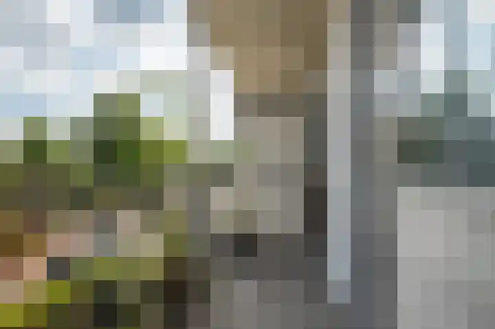 Molenstraat 249 Assen thumbnail 19