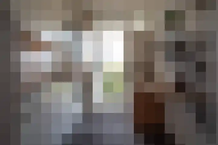 Molenstraat 249 Assen thumbnail 22