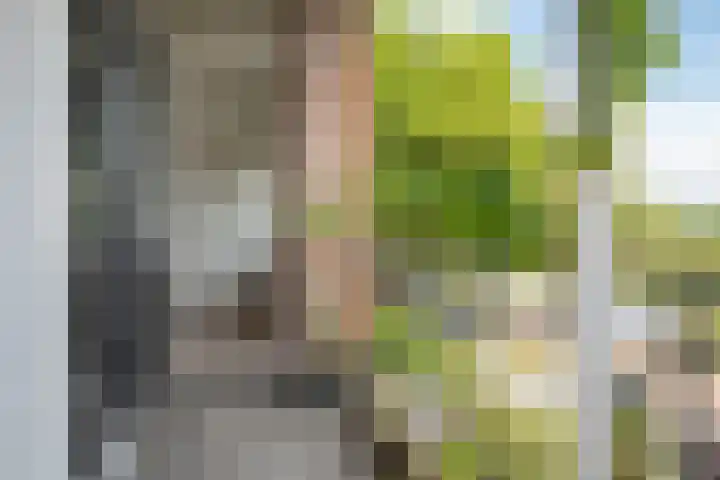 Molenstraat 249 Assen thumbnail 4