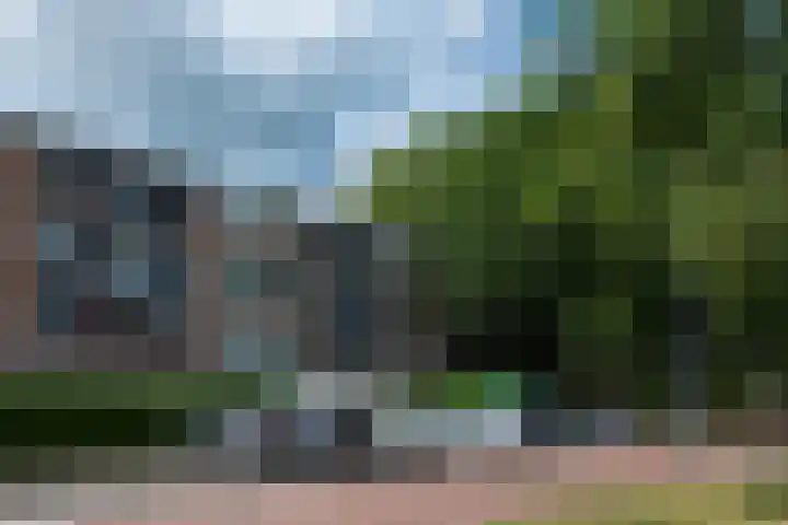 Molenstraat 249 Assen thumbnail 8