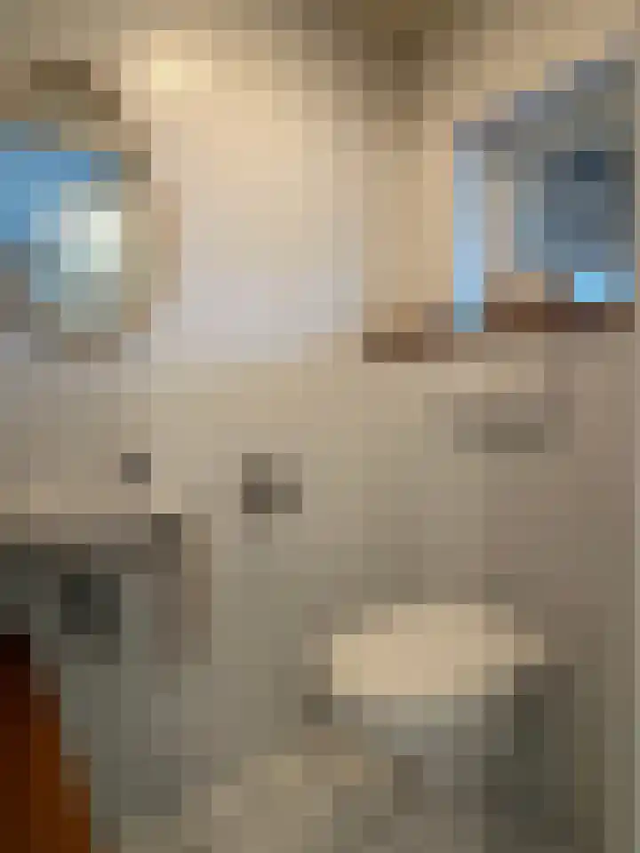 Molenstraat 25 Heumen thumbnail 14