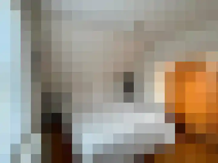 Molenstraat 25 Heumen thumbnail 22