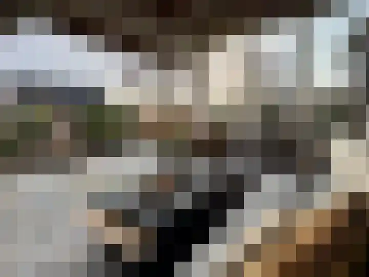 Molenstraat 25 Heumen thumbnail 29