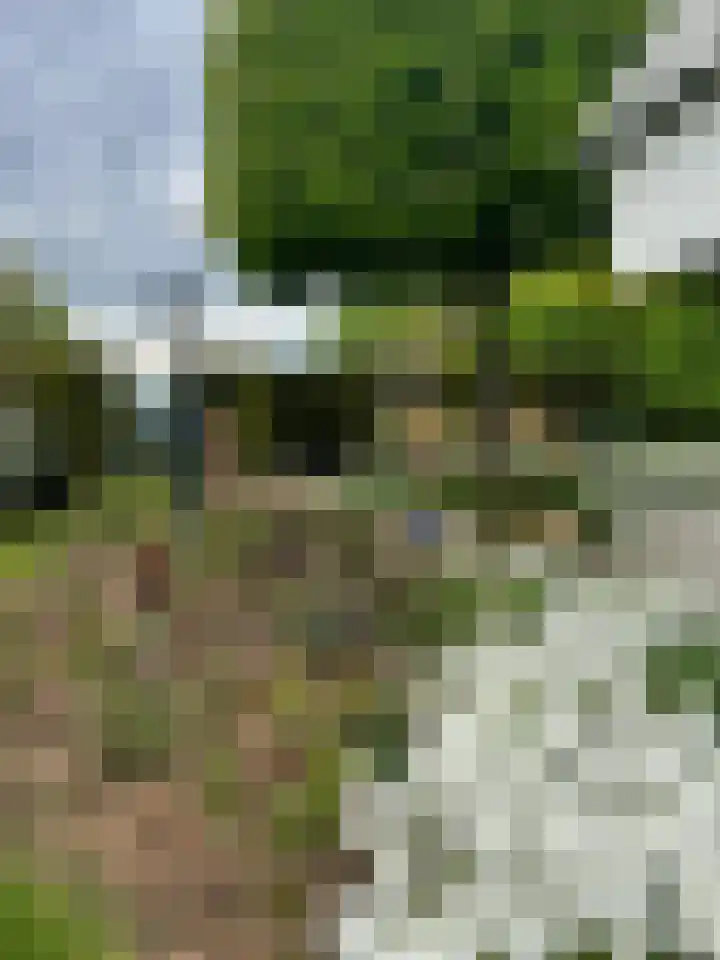 Molenstraat 25 Heumen thumbnail 32