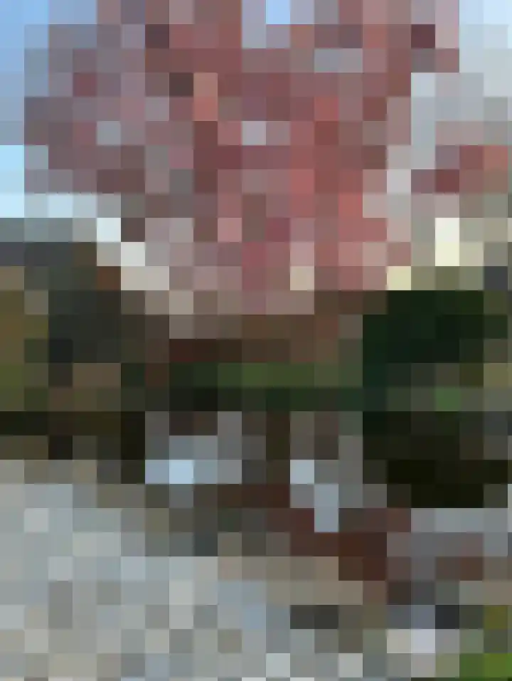 Molenstraat 25 Heumen thumbnail 33