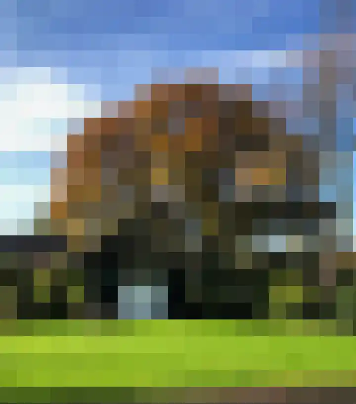 Molenstraat 25 Heumen thumbnail 42