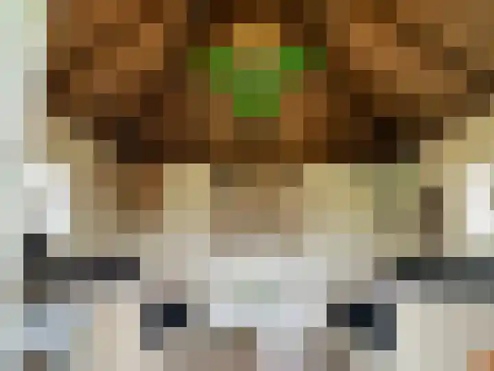 Molenstraat 25 Heumen thumbnail 43