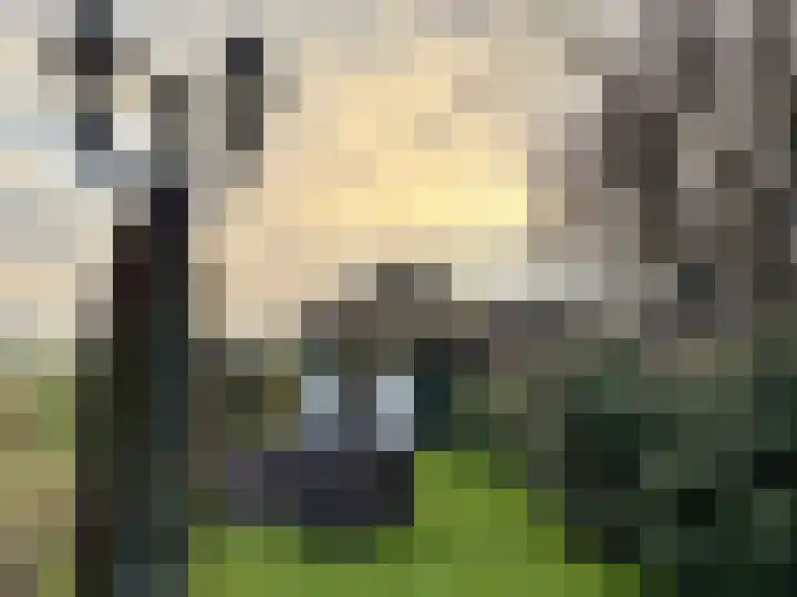 Molenstraat 25 Heumen thumbnail 44