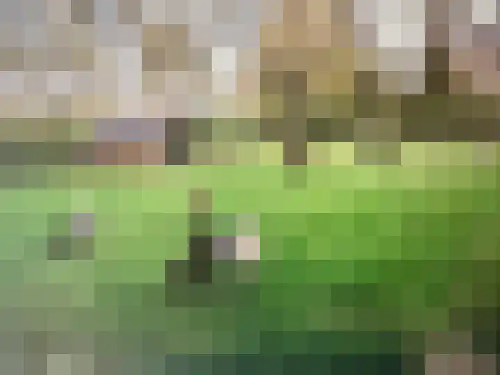 Molenstraat 25 Heumen thumbnail 45