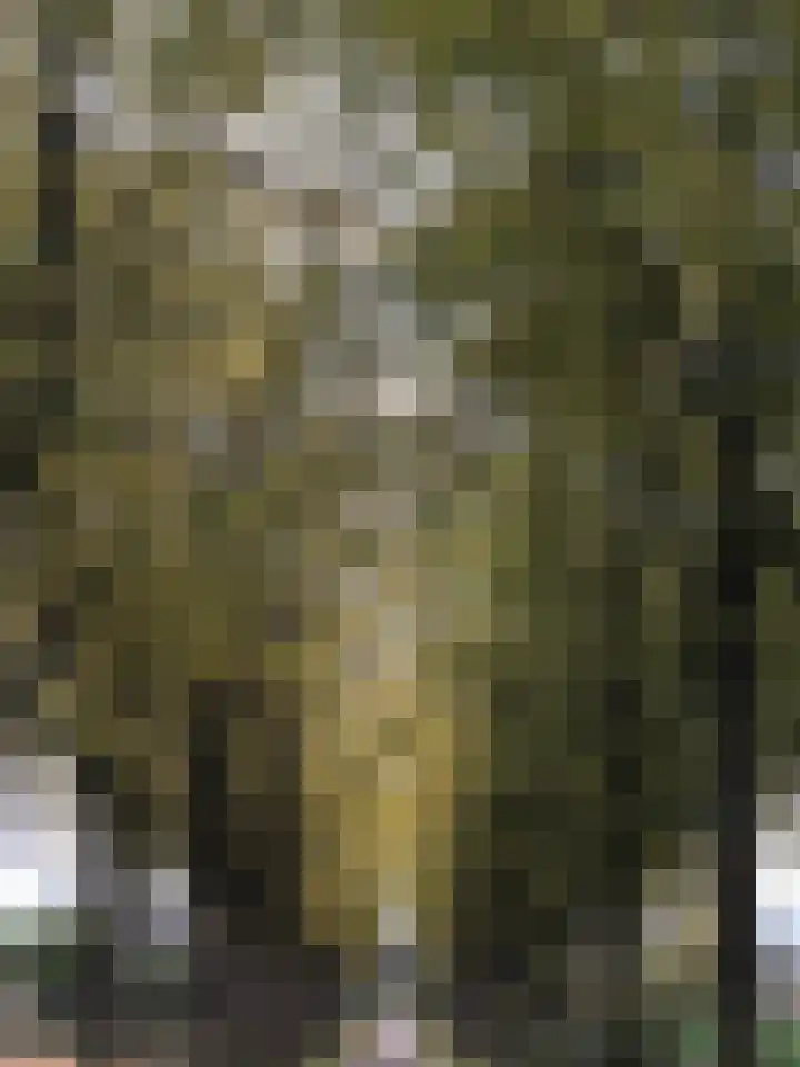 Molenstraat 25 Heumen thumbnail 52