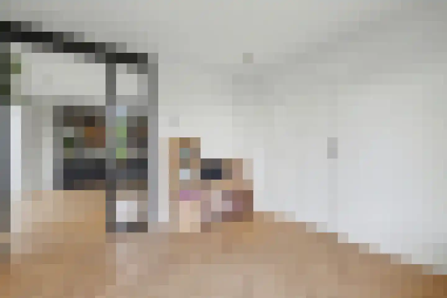 Molenstraat 25 Reusel thumbnail 10