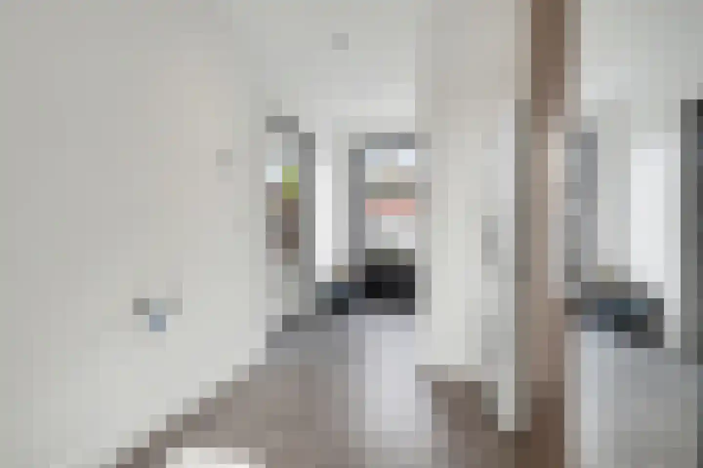 Molenstraat 25 Reusel thumbnail 30
